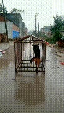 可爱搞笑图片可直接保存,搞笑图片现在的年轻妹纸真会玩啊