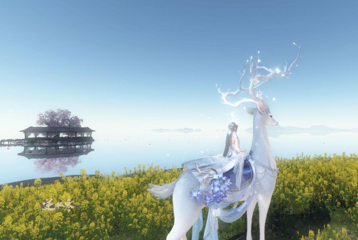 逆水寒富婆有多任性?四个月花数十万买外观!却公然大喊寂寞