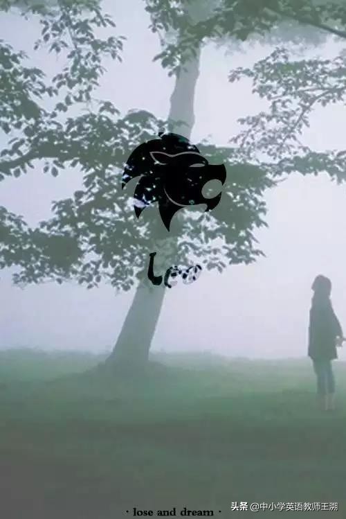 趣味英文字母学习与发音,趣味学英语经典语法