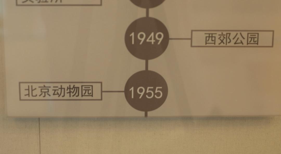 北京动物园和北京大兴野生动物园,北京动物园儿童动物园