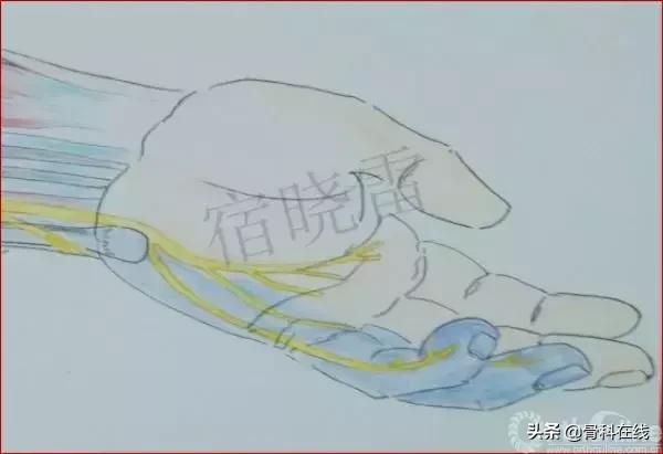 手绘科普类,手绘类科普