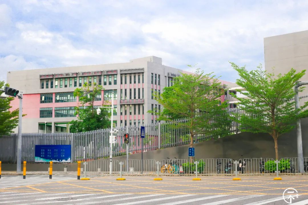 测评深圳湾,我直接被房租劝退