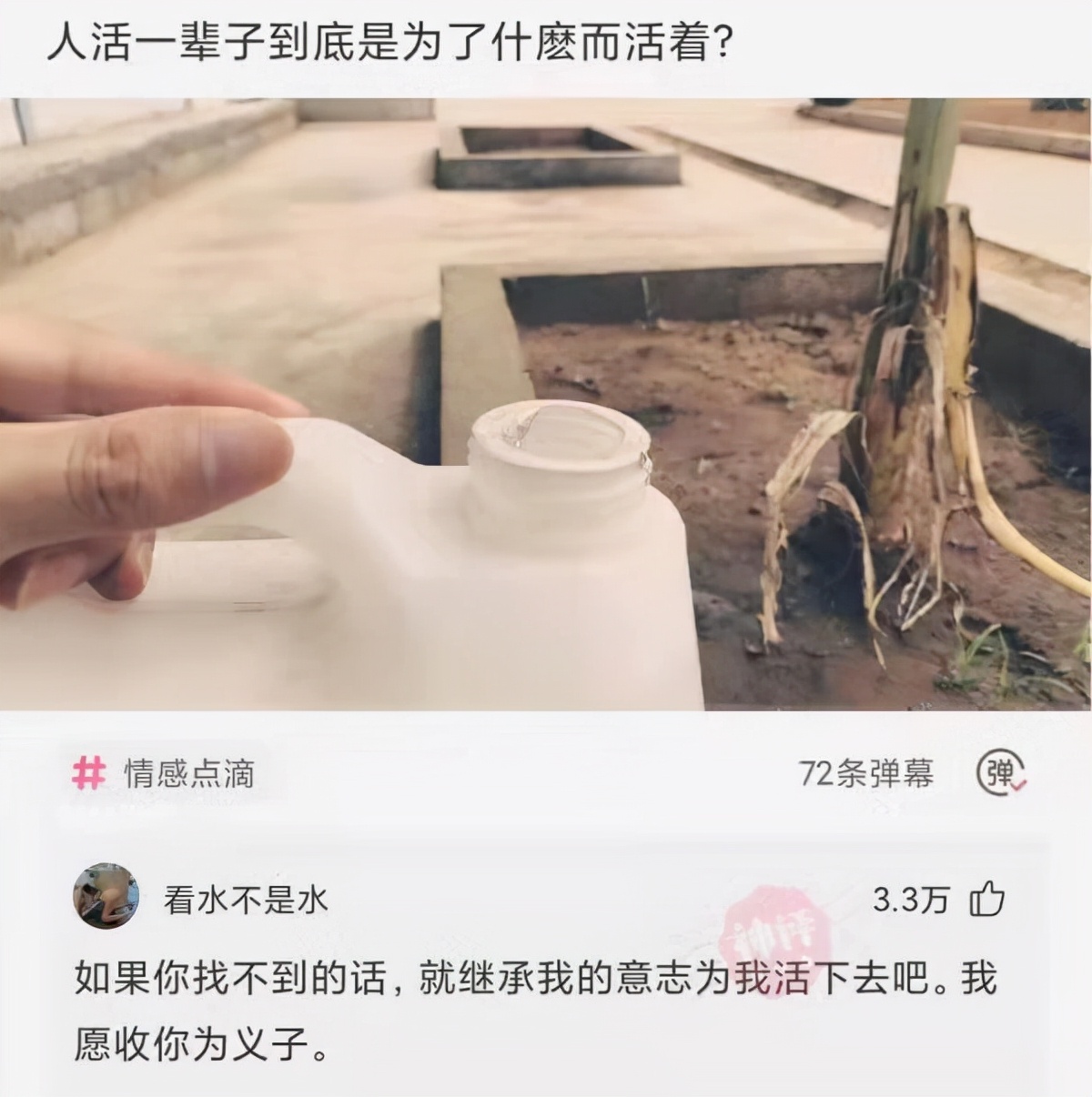 每日一笑：有句骂人的话，一辈子吃不上四个菜，这四个菜是什么？
