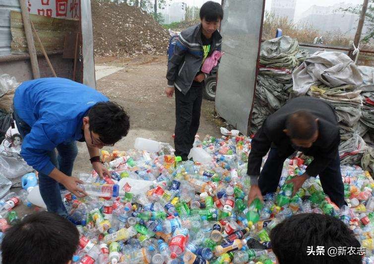 塑料瓶回收创业,家庭小作坊致富项目可回收