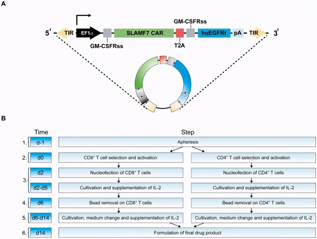 car-t治疗多发性骨髓瘤成功率,car-t细胞疗法能让骨髓瘤痊愈吗