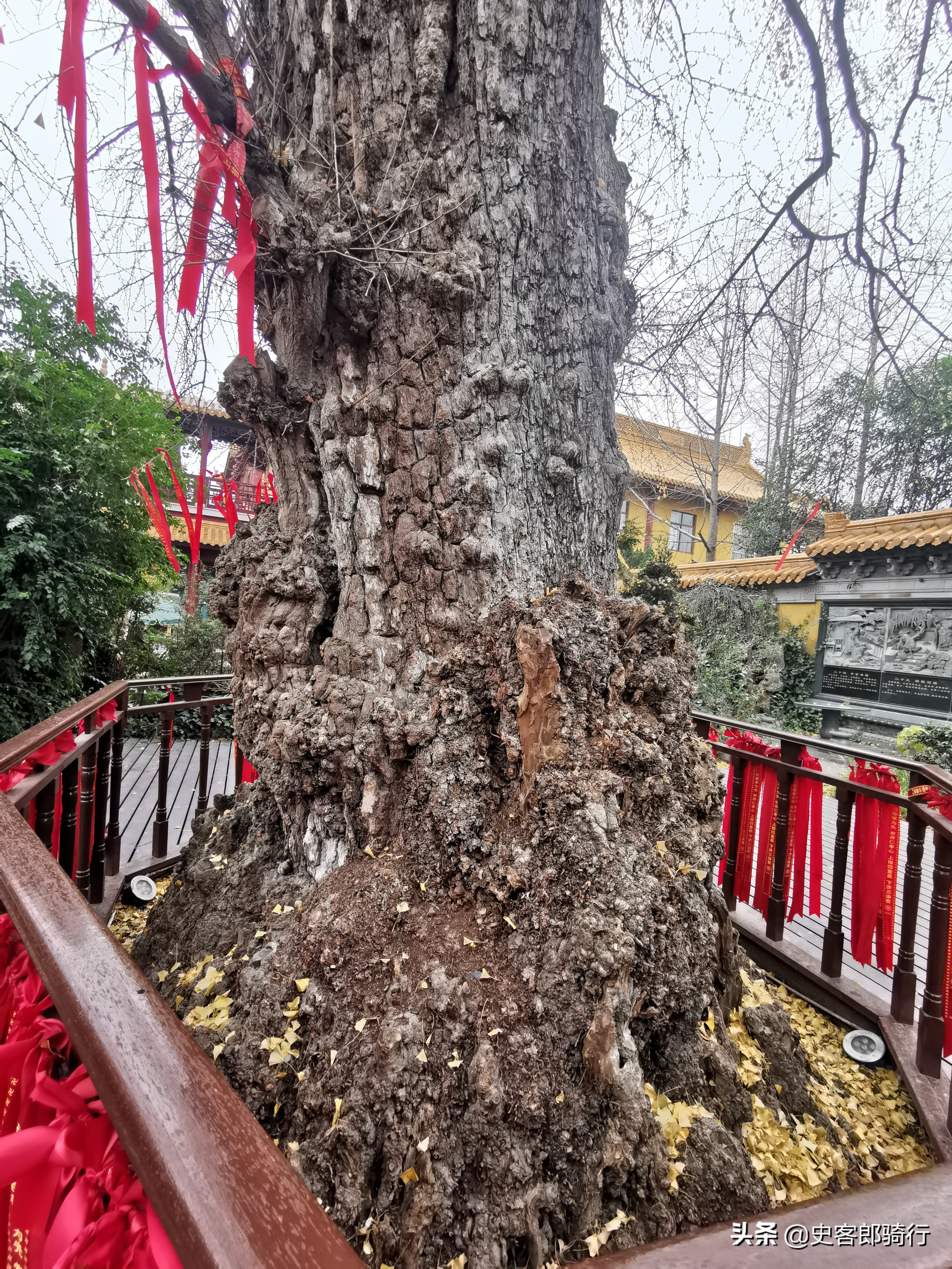 骑车看上海,二严寺