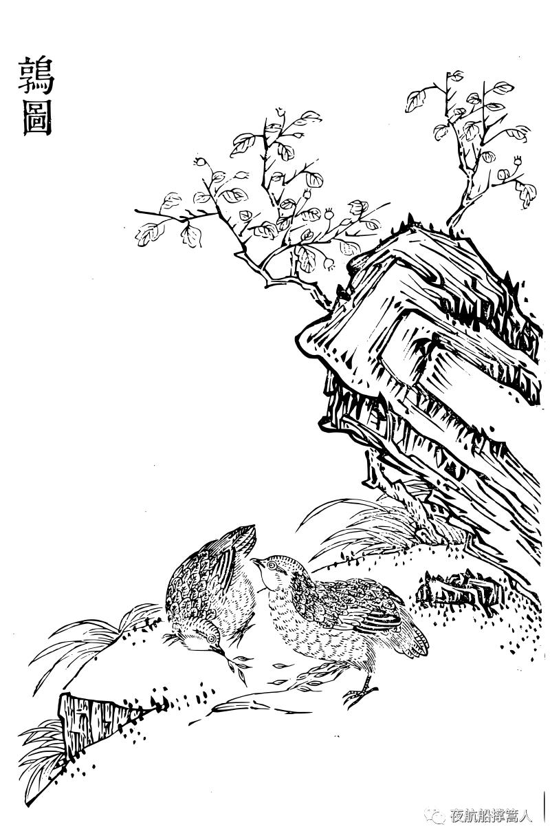 会七十二变的动物,会七十二变的八戒