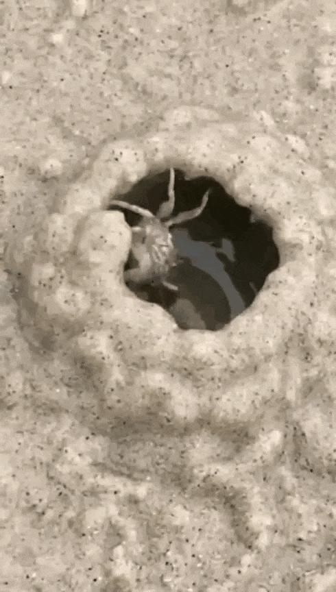 看了整整七分钟，他们最终还是上去了