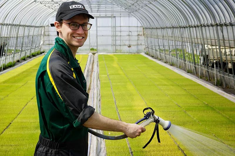 日本清酒最新款,日本清酒有后劲么