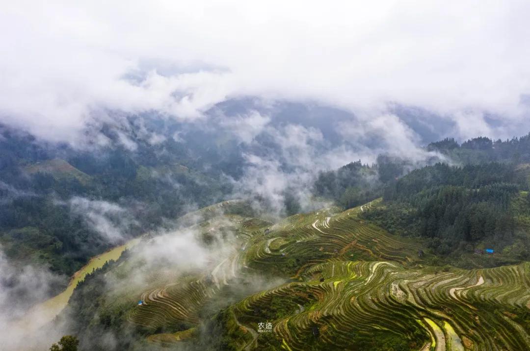农造田野丨总有一根神经通往乡野|月亮山百里梯田