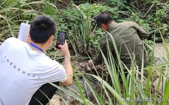 村民无意间在水里发现一个小动物,买小乌龟竟是国家二级保护动物