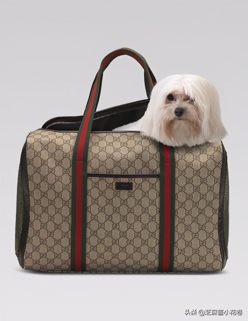 凡尔赛文学其实无处不在,凡尔赛文化盛行