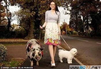 农村返乡创业怎么抵押贷款,最适合穷人的创业项目农村创业