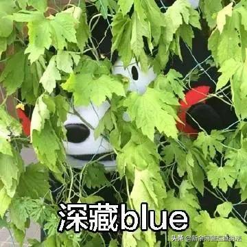 点开女朋友的QQ空间，里面的照片让他五雷轰顶