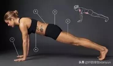 练瑜伽练平板支撑能坚持多久,瑜伽平板支撑每次需要做多长时间