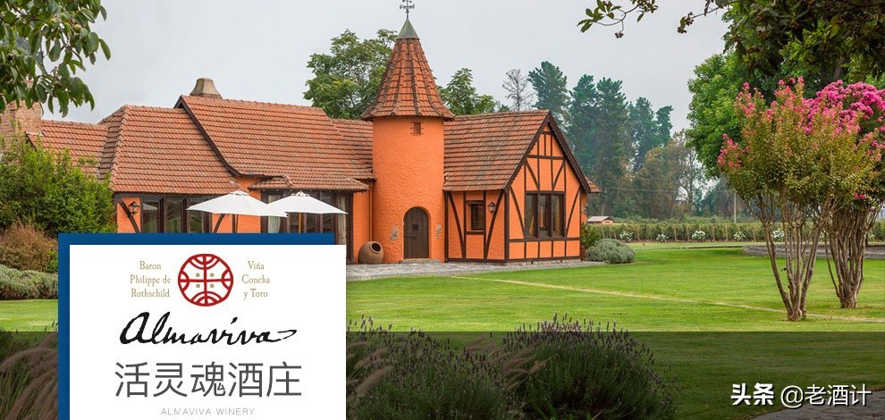 智利葡萄酒和宁夏葡萄酒,法国葡萄酒和智利葡萄酒