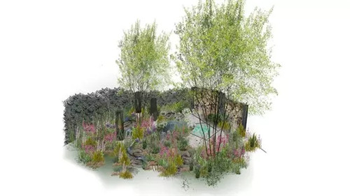 切尔西花展举办,2020年切尔西花展抢先看