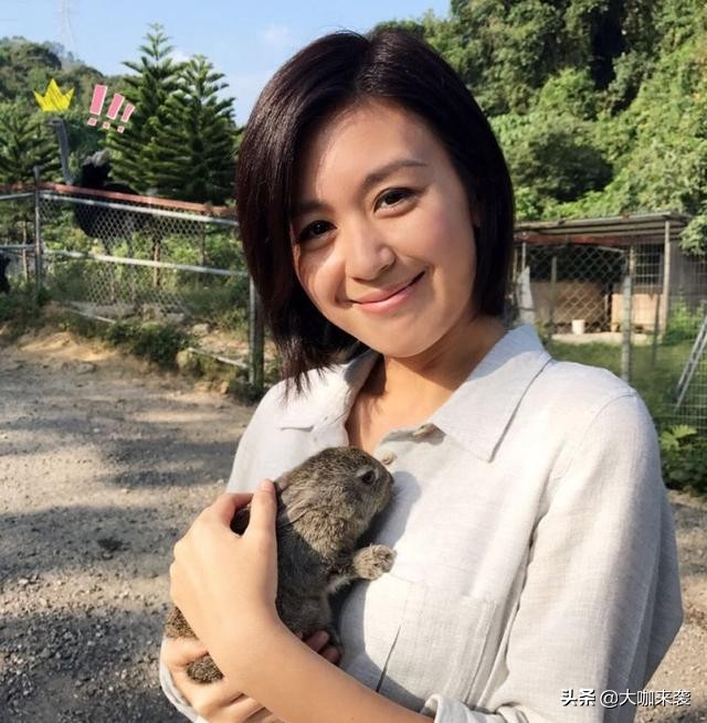 唐宁和张国荣合影,张国荣和周润发年纪