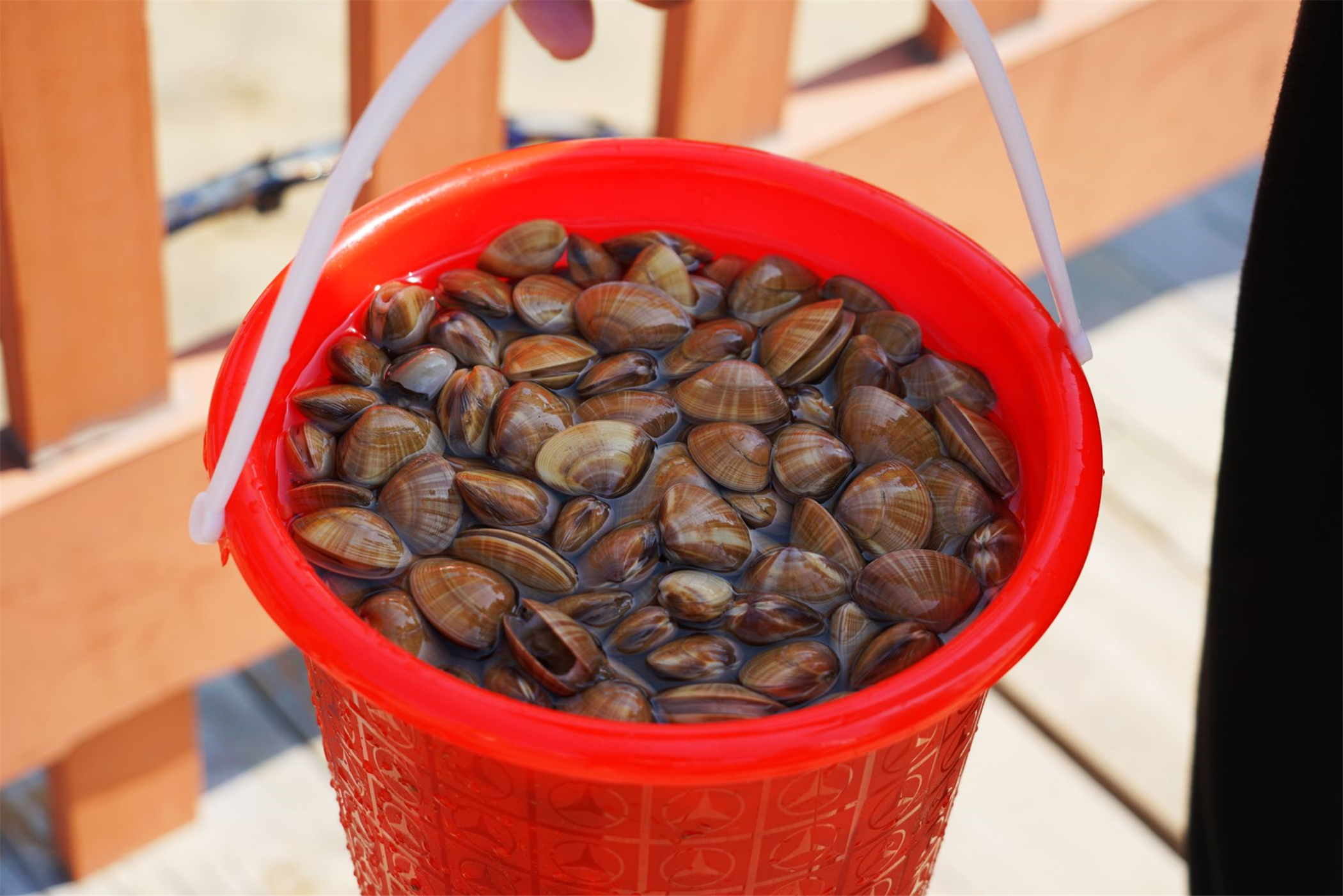 小众海岛旅行，一站打卡唐山最美的两座岛