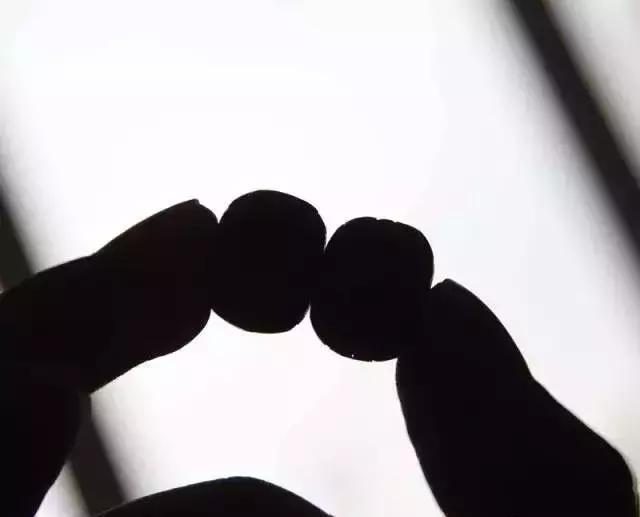 打磨藏式金刚教程,无齿藏式金刚菩提怎么盘