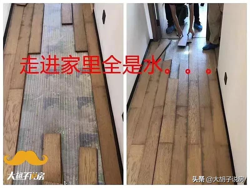 长沙不愧是一个网红城市,长沙为什么不让炒房