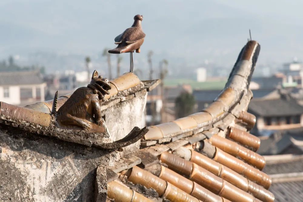丽江是一个让人念念不忘的地方,丽江一个充满诗情画意的地方