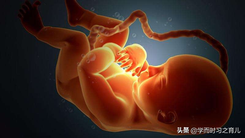 孕妇须知：脐带异常的5种情况和危险，准妈妈做好这些，别慌张
