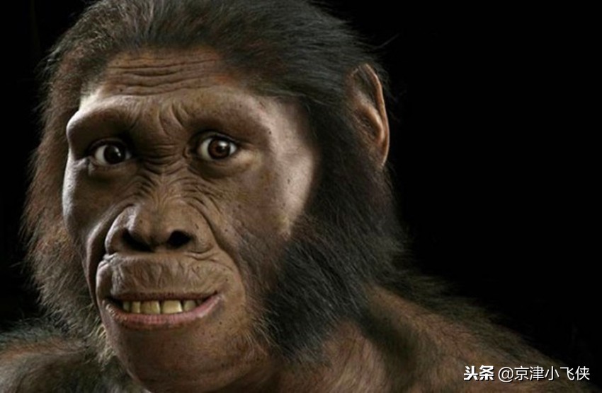 原始人吃冻肉,原始人吃野果