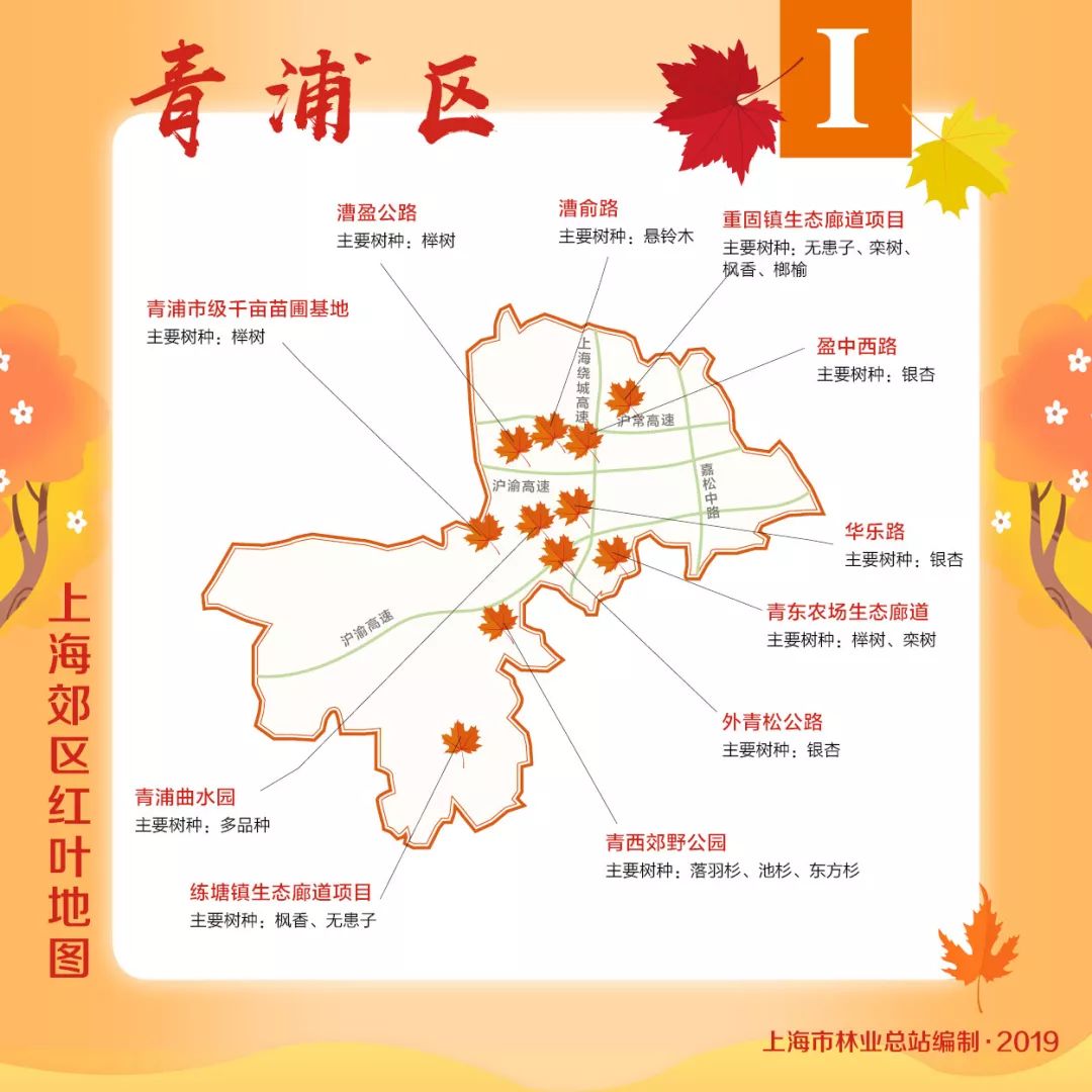 赏枫地图,赏红叶正当时