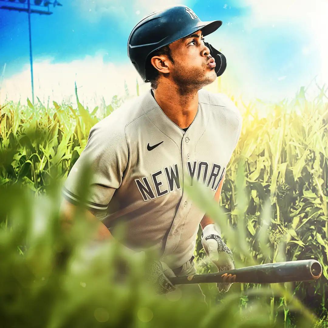 姊﹀够涔嬪湴婕斿敱,姊﹀够涔嬪湴妫掔悆