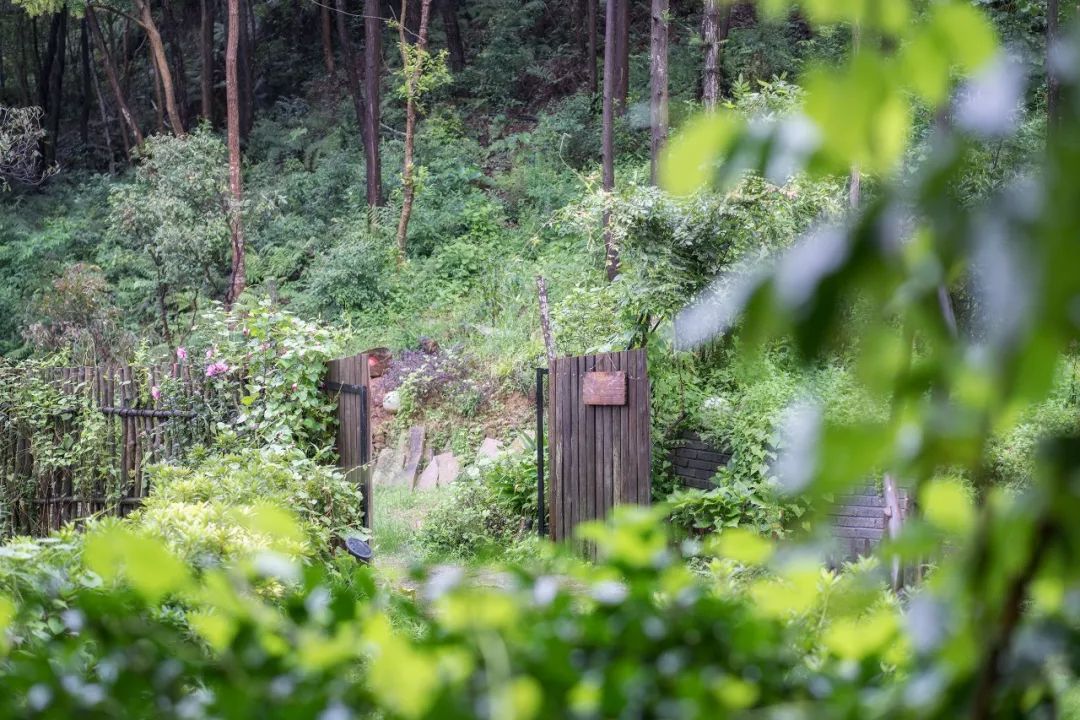 温州正规民宿名单,温州十大口碑最好民宿
