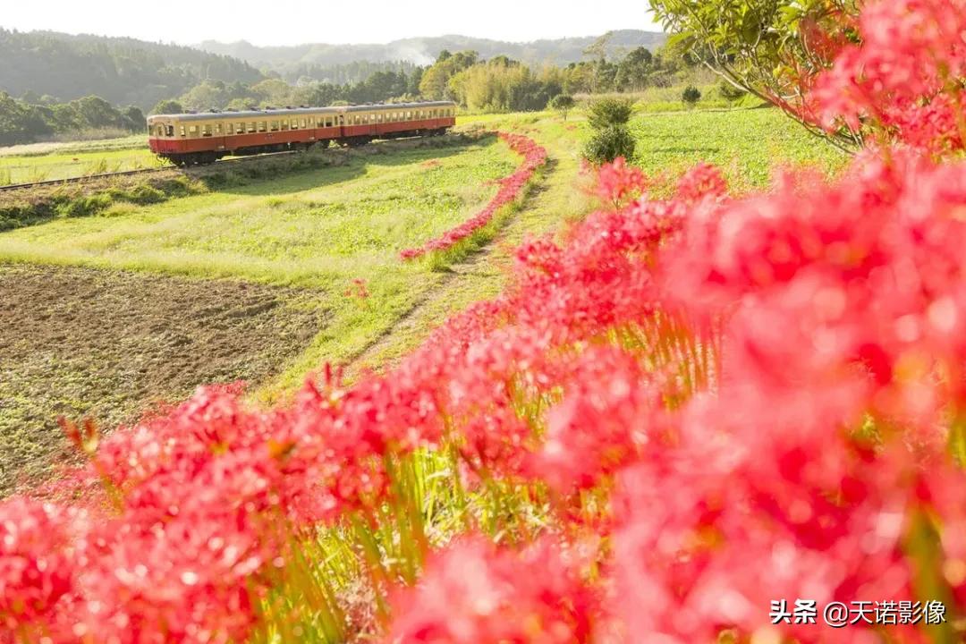 徕卡sl2-s网友点评,徕卡sl2-s直出照片