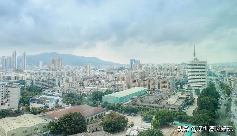 住在深圳各区的人,住在深圳市的人