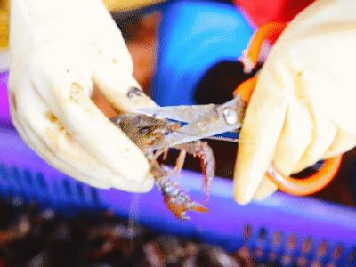 十堰哪家虾店好吃,十堰好吃的虾店