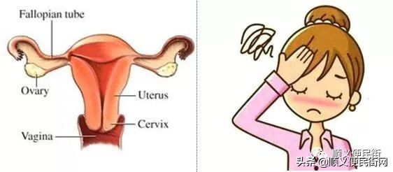 医生说贫血狠了容易得血液病,老年人为什么会重度贫血