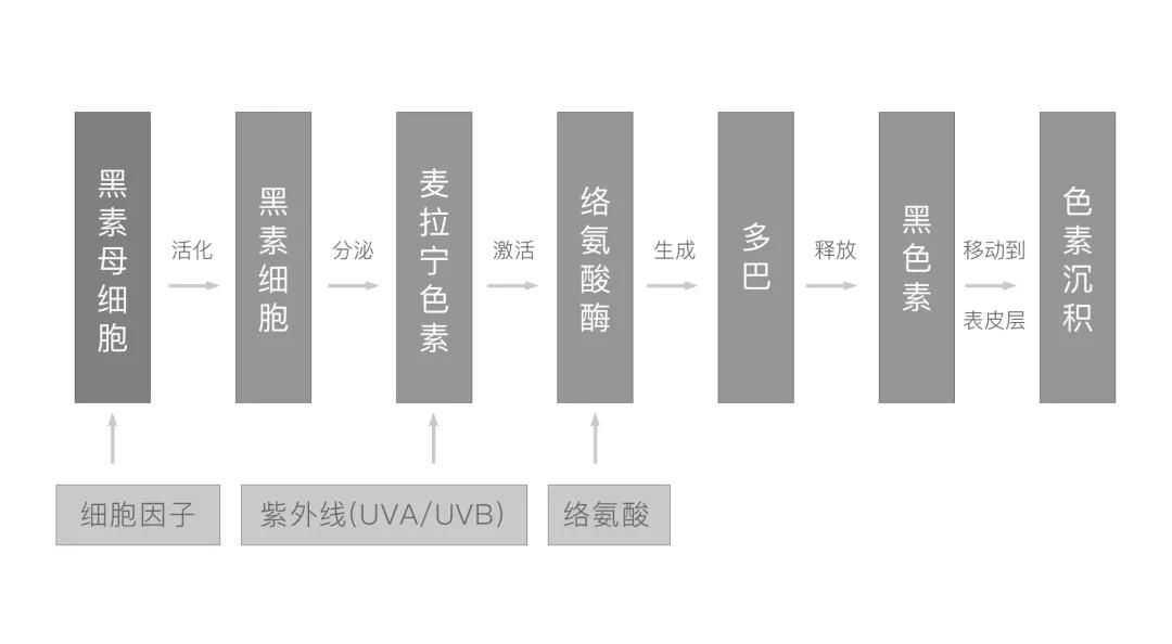 不做黄脸婆教你如何淡化色斑,色斑修复的最佳方法