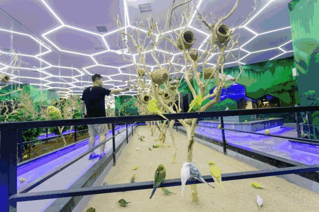 合肥动物园值得看的地方,合肥最好玩的动物园是哪