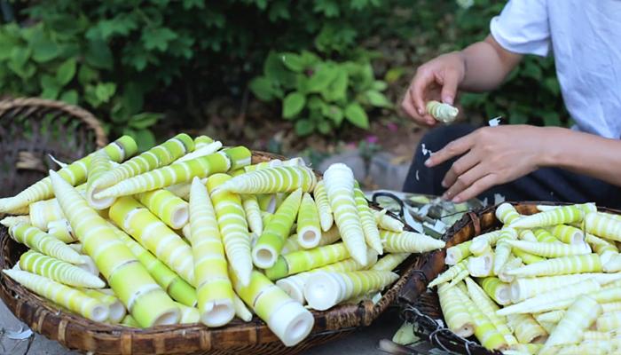 李子柒挖冬笋视频全集,李子柒挖竹笋完整视频