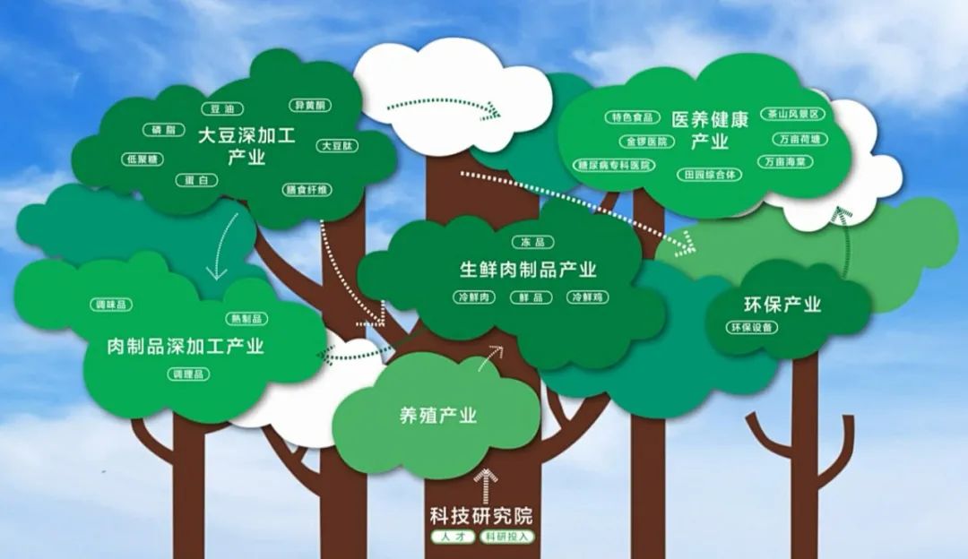 探访金锣车间,金锣工厂新消息