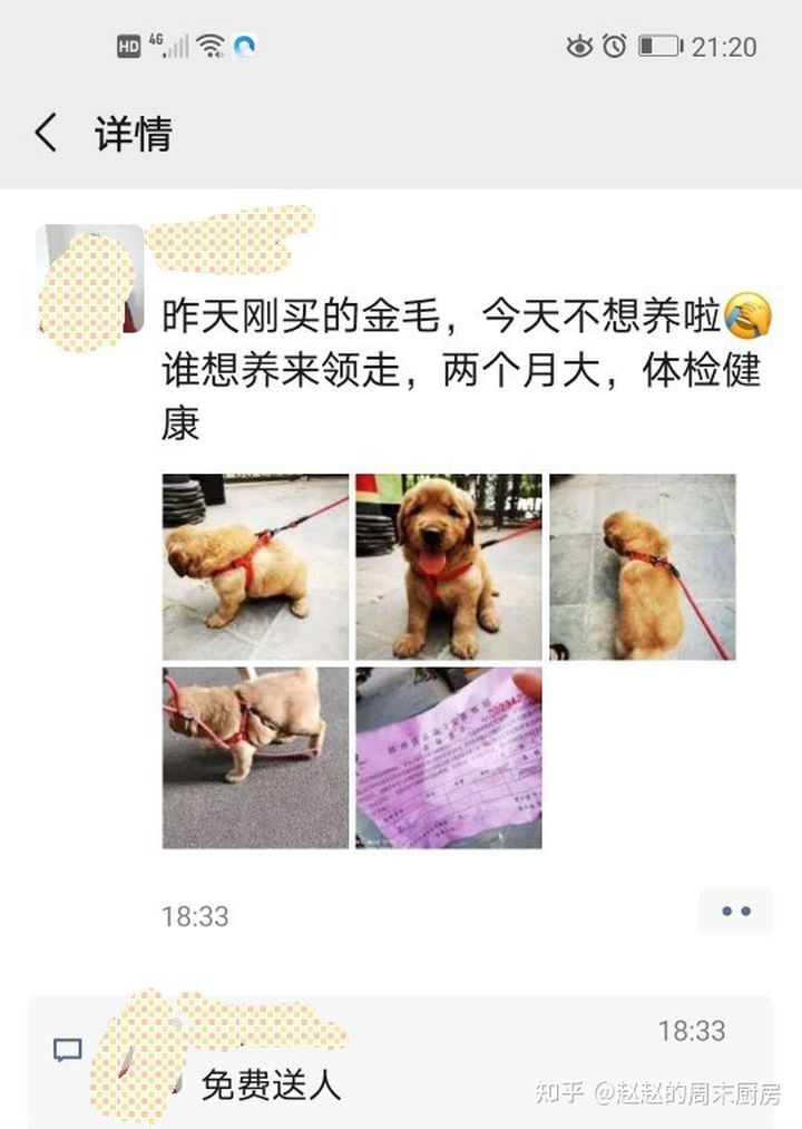 你会给宠物花多少钱,怎样拍宠物写真