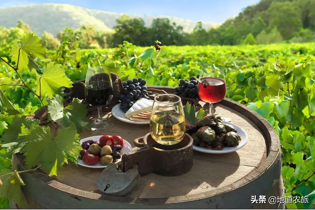 来看澳大利亚“猎人谷”田园综合体，如何“猎人”？