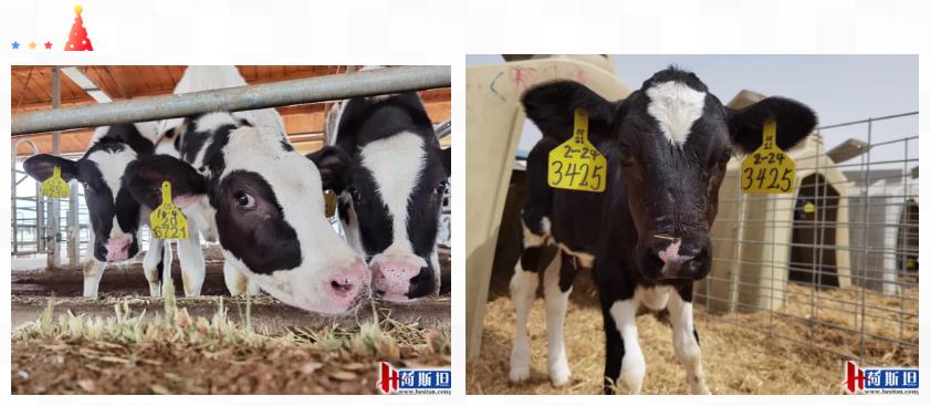 走进乐源君邦和邢台君兴丨中瑞项目她来了