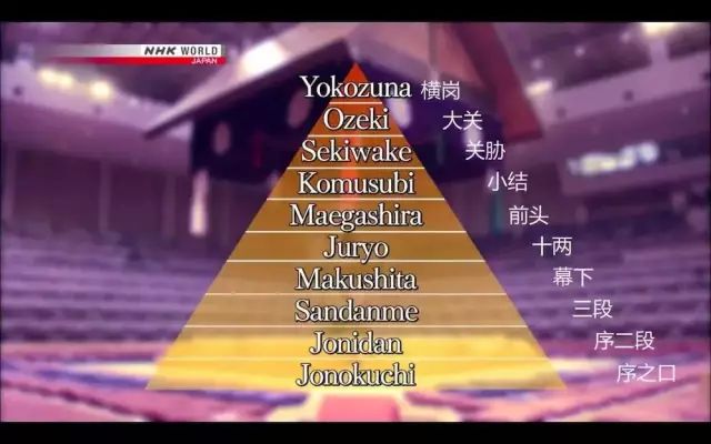 相扑在日本地位有多高,为什么日本相扑选手都那么高