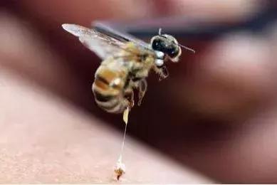 哭了！看完各大牌这些天价护肤品，用SK-II的你都算是勤俭持家