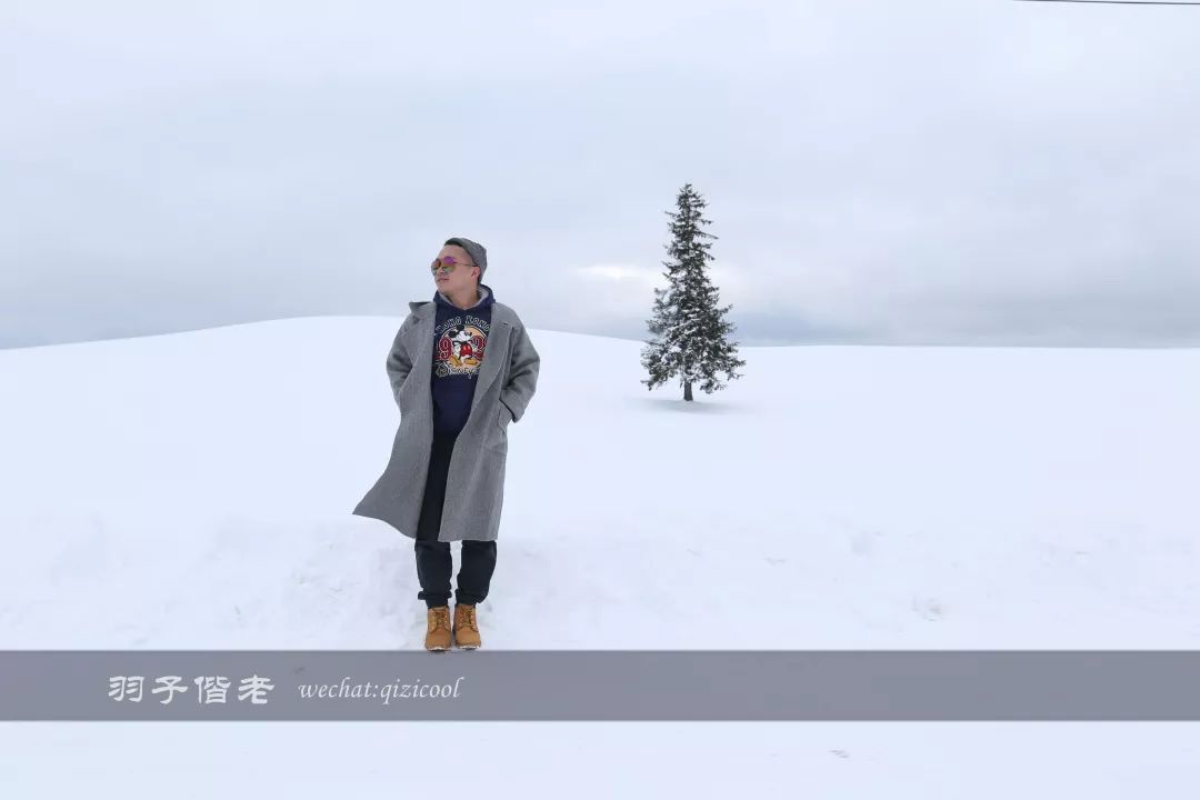 日本10天自由行费用北海道,东京北海道5日自由行攻略