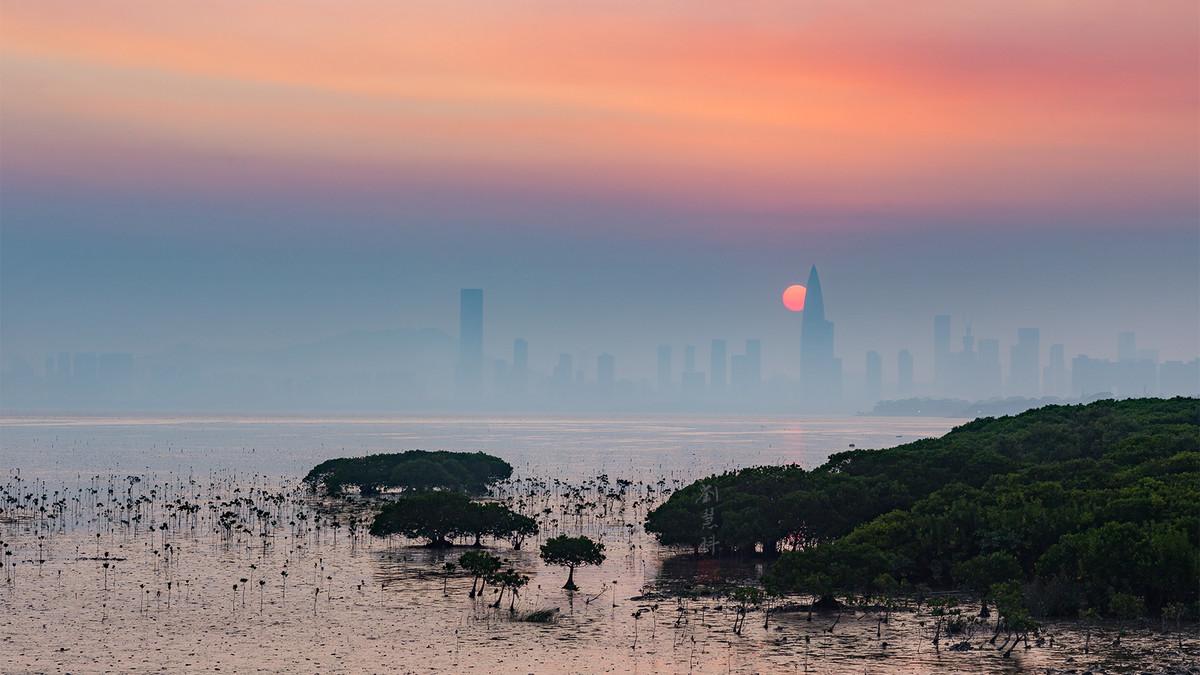 深圳华润春笋大厦最早效果图,深圳华润大厦原设计图
