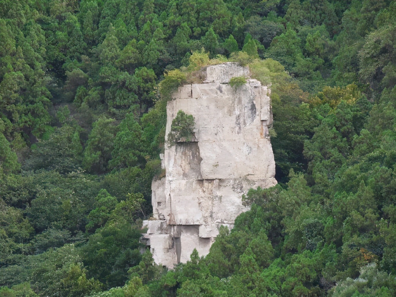 济南免费遛娃的地方,济南市十一带娃游玩好去处
