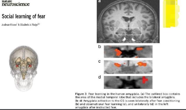 本命年不顺有科学依据吗,36岁本命年真的是有科学依据吗