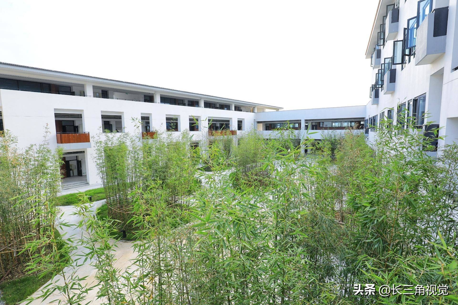 婀栧窞婊ㄦ箹楂樼骇涓,婀栧窞楂樼骇涓