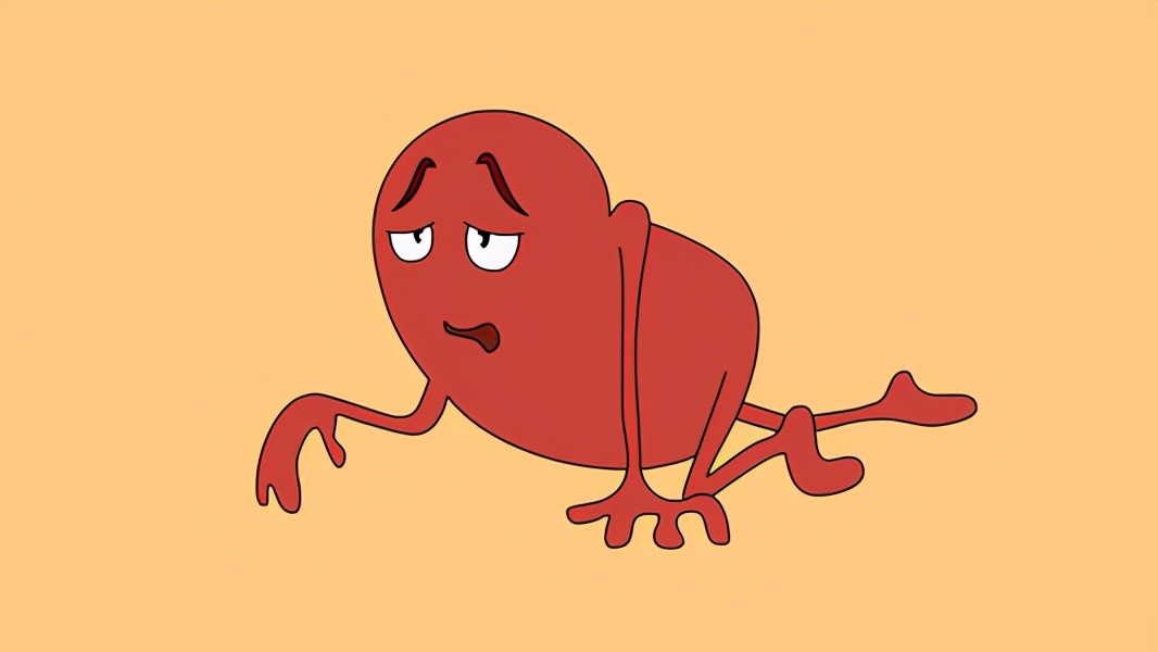 肾虚吃什么肉补肾效果好,肾好气色佳17种食物补肾